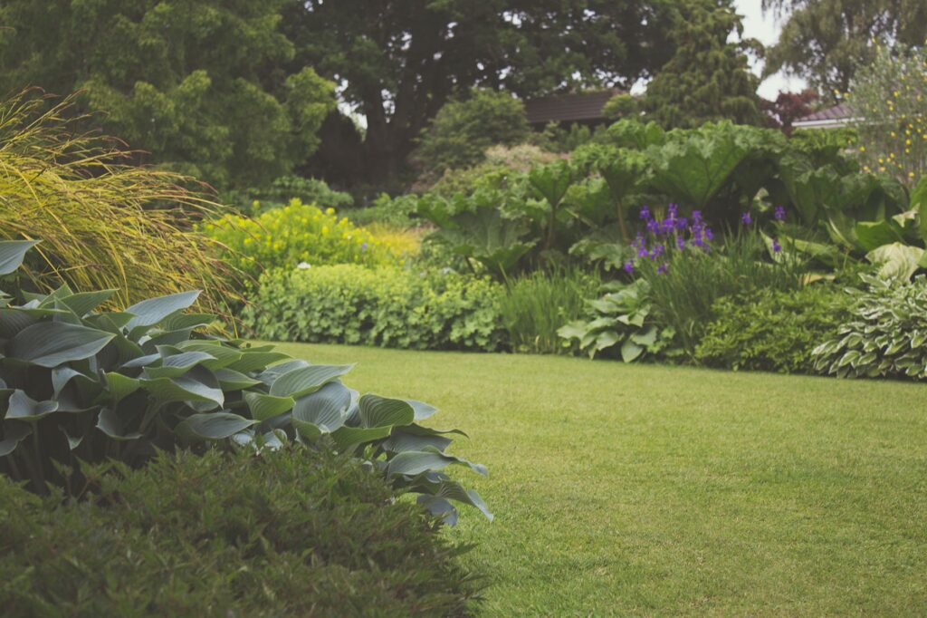 the art of outdoor living: how dublins gardeners enhance your lifestyle